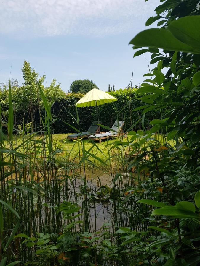 Ferienwohnung Villa Flora เซลเลอ ภายนอก รูปภาพ